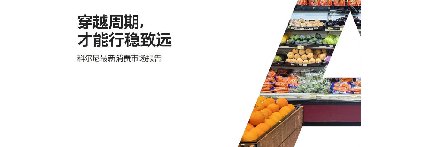 2023最新消费市场报告：穿越周期，才能行稳致远